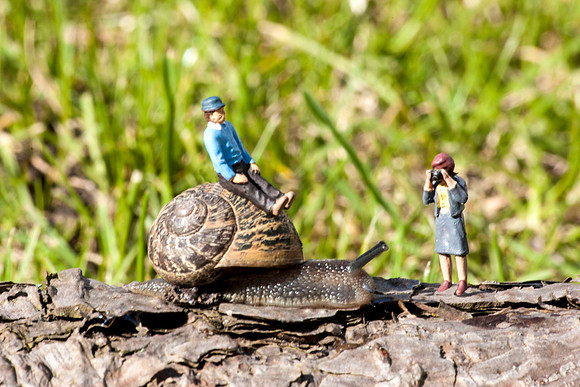 Man on snail 2777v3