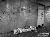 L1069193v2-web-logo-900-B&W-WA-FBB-WS