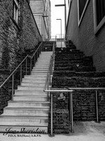 L1069227v2-B&W-web-logo-900-WA-FBB-WS