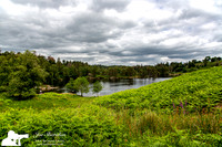 _E5A2305v2-web-logo-lake-Tarn-Howe
