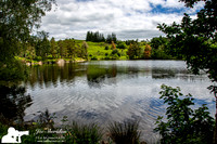 _E5A2325v2-web-logo-lake-Tarn-Howe
