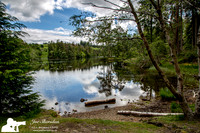 _E5A2336v2-web-logo-lake-Tarn-Howe