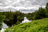 _E5A2370v2-web-logo-lake-Tarn-Howe