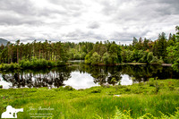_E5A2372v2-web-logo-lake-Tarn-Howe