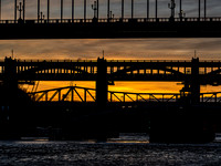 L1105485v2-web-1600-ws