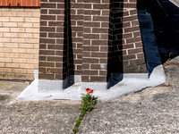 L1069708v2-web-1600-WA