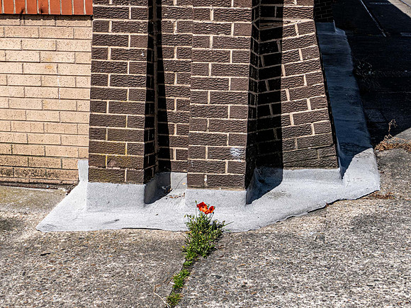 L1069708v2-web-1600-WA