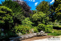 L1048478v2-web-logo-1200-Garden
