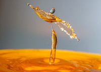 26-5_E5A7730v2-web-pp