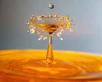 24-5_E5A7725v2-web-pp