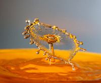 28-5_E5A7739v2-web