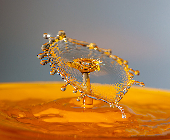 28-5_E5A7739v2-web
