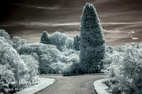 _MG_3758v2-IR-web-logo-1200-fb