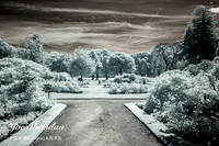 _MG_3760v2-IR-web-logo-1200-fb