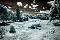 _MG_3778v2-IR-web-logo-1200-fb