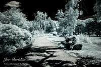 _MG_3775v2-IR-web-logo-1200-fb