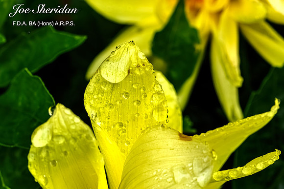 _E5A7981v2-web-logo-900-FB