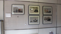 Seaham and Sunderland Insect Exhibition Prints