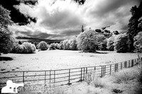 Lake District Infra Red Photos