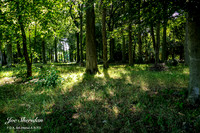 Ushaw College Gadens 16.07.22