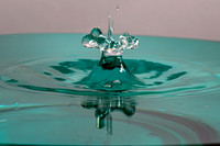 Waterdrop Photography