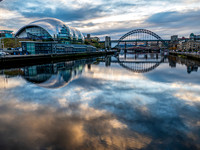 _1155672v2-web-1600