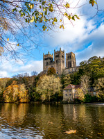 _1155749v2-web-1200