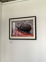 IMG-1106v2-web-1200
