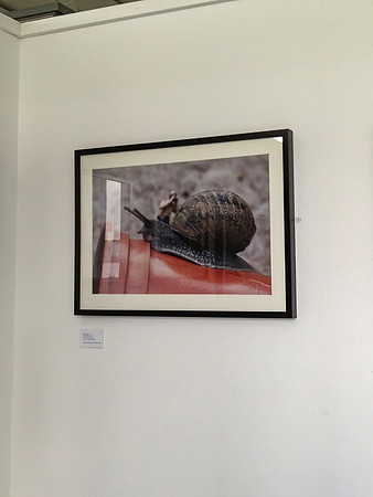 IMG-1106v2-web-1200