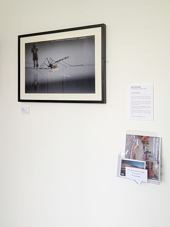 IMG-1107v2-web-1200