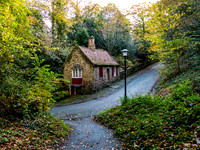 _1155730v2-web-1600