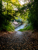 _1155732v2-web-1200
